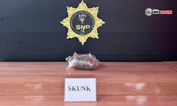 Şanlıurfa'da Skunk Ele Geçirildi: 1 Zanlı Tutuklandı