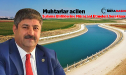 Şanlıurfa Zıraat Odası Başkanı Eyyüpoğlu Duyurdu: Kanallara Su Bırakıldı