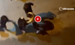 Şanlıurfa'da Taksiciyle Kadınlar Arasında Çanta Kavgası