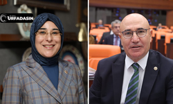 Cevahir Yazmacı'dan Tanal'a; "Mahmut Bey Sizde Gerçekten Bir Sıkıntı Var"