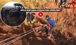 Şanlıurfa'da Traktör İle İnek Kurtarma Operasyonu