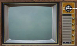 Viranşehirli Ahmet Şeşen, Kaybettiği Televizyonunu Arıyor