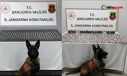 Şanlıurfa'da Zehir Satıcılarına Operasyon: 10 Gözaltı