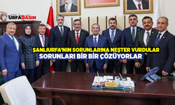 Şanlıurfa Milletvekilleri Cumhurbaşkanı Yardımcısı İle Görüştü Elektrik Konusunda İstedikleri Desteği Aldı