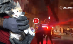 Şanlıurfa Viranşehir’de 5. Katta Mahsur Kalan Kediyi İtfaiye Ekipleri Kurtardı