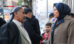 Şanlıurfa'nın En Çalışkan Vekillerinden Biri Olan Yazmacı, Meclis Tatile Girdiği Gibi Soluğu Memlektinde Alıyor