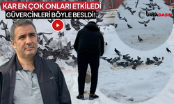 Şanlıurfa'da Hayvan Sevgisi Soğuğu Hissettirmiyor !