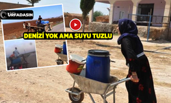 Şanlıurfa'da Orada Bir Köy Var Uzak'ta Çeyrek Asırdır İçme Suları Yok