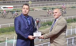 Şanlıurfa Hipodromda Atlar Bu Kez Harran Belediyesi İçin Koştu