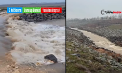 Şanlıurfa’da Yağışlar Sulutepe Göletini Doldurdu, Curcup Deresini Coşturdu