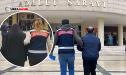 Şanlıurfa'da Jandarmadan DEAŞ Operasyonu: 2 Gözaltı