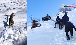 Dicle Elektrik Ekipleri, Zorlu Kış Şartlarında Görev Başında