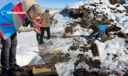 Şanlıurfa'da Yaban Hayvanları İçin Doğaya Yem Bırakıldı