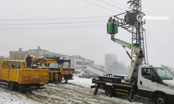 Dicle Elektrik’ten Şanlıurfa’da Zorlu Kış Mesaisi