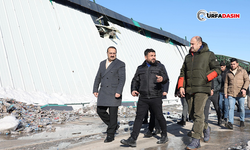 Başkan Gülpınar, Kar Yağışında Hasar Gören İşyerlerini İnceledi