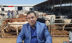 Şanlıurfa'da Böyle STK Başkanları da Var!