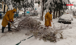 Haliliye'de Karla Mücadele Dört Koldan Sürüyor
