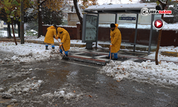 Haliliye'de Karla Mücadelede Kesintisiz Hizmet Sürücüyor