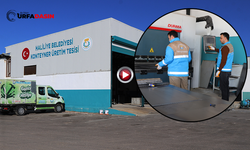 Haliliye, Üretim Vizyonuna Yeni Bir Tesis Daha Ekledi: Çöp Konteyneri Üretiliyor