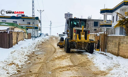 Harran'da Tüm Yollar Kardan Temizlendi Ulaşıma Açıldı