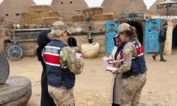 Harran'da Kadına Yönelik Şiddete Karşı Jandarmadan Bilgilendirme