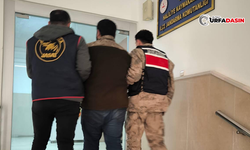 Şanlıurfa'da 25 Yıl Hapis Cezasıyla Aranan Firari, Yakayı Ele Verdi
