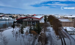 Harran Üniversitesi Bütünleme Sınavlarını İleri Bir Tarihe Ertelendi