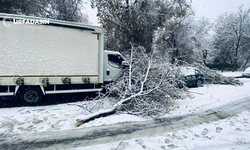 Şanlıurfa Birecik’te Kar, Tipi, Rüzgar Yıktı Geçti !