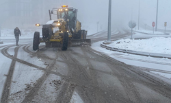 Şanlıurfa’da 205 Araç 804 Personelin Kar Mesaisi Başladı