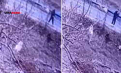 Şanlıurfa Birecik'te Kendisine Doğru Koşup Gelen Köpeği Vurdu
