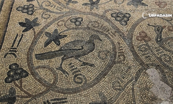 Halfeti Yukarı Göklü Mozaiği Bir Arkeolojik Eserden Çok Fazlasını Anlatıyor