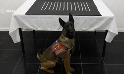 Şanlıurfa Harran'da Narkotik Operasyonu: 2 Gözaltı