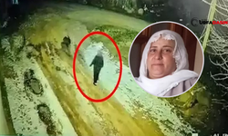 Diyarbakır Çınar'da Kaybolan Anneyi Aramaya Şanlıurfa'dan da Ekip Gönderildi