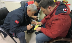 Şanlıurfa'da İtfaiye Ekibinden Papağan Operasyonu