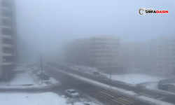 Şanlıurfa'da Yoğun Sis Kentin Tamamında Etkili Oluyor