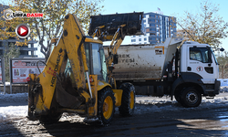Şanlıurfa Siverek'te Caddelerdeki Karlar Kamyonlarda İlçe Dışına Taşınıyor