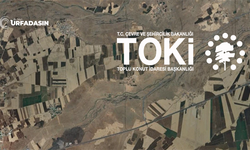 TOKİ, Şanlıurfa'da Açık Artırmayla Arsa Satışı Yapacak