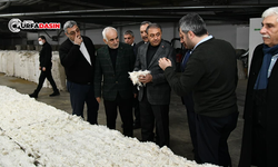 Şanlıurfa Valisi Şıldak'tan OSB'deki İşletmelere Ziyaret