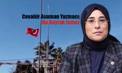 Cevahir Asuman Yazmacı;  Bayrağımıza yapılan alçak saldırıyı lanetliyorum