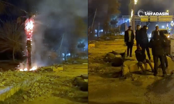 Şanlıurfa'da Madde Bağımlısı Genç, Ağaçları Ateşe Verdi