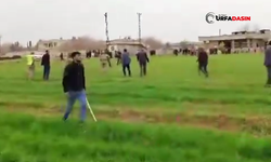 Şanlıurfa'da İki Gün Art Arda Çıkan Kavgalarda 20 Kişi Gözaltına Alındı