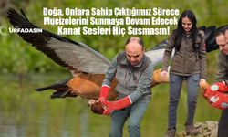 Şanlıurfa Birecik’te 2 Angut Kuşu Tedavi Sonrası Özgürlüğe Kanat Çırptı!