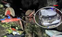 Şanlıurfa'da Otomobil At Arabasına Çarptı: 2 Yaralı