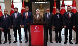 Aile ve Sosyal Hizmetler Bakanı Göktaş, Şanlıurfa'da