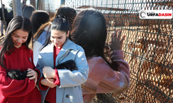 Viranşehirli Öğrenciler, Sahipsiz Hayvan Bakımevini Gezdi