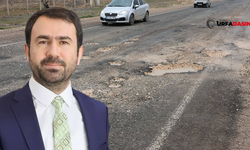 Ceylanpınar Kızıltepe Yolu Son Yağışlarla Köstebek Yuvasına Döndü