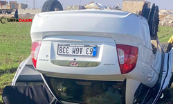 Viranşehir–Ceylanpınar Yolunda Kaza: 4 Yaralı