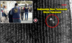 Şanlıurfa'da Hüseyin Yılmaz'ın Cinayet Zanlısı ve Ona Yardım Eden 4 Kişi Yakalandı