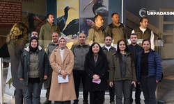 Şanlıurfa DKMP Bölge Müdürlüğü, Birecik’te Bir Takım İyileştirmelere Hazırlanıyor