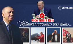 Cumhurbaşkanı Erdoğan'a Özel Doğum Günü Paylaşımı; Nice Yıllara Reis